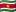 flag Suriname