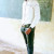 Elie